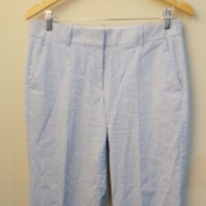 B2 J. Crew 6 Blue/White Stripe Cotton Pants